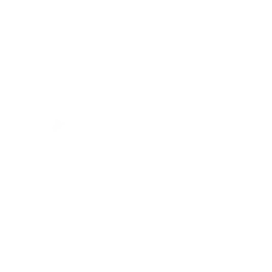 The Vine – Folsom